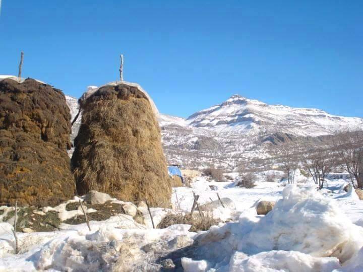 Kurdistan's 2016 bride, blanket of snow